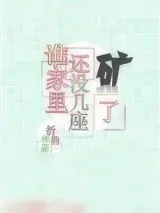《谁家里还没几座矿了》小说封面