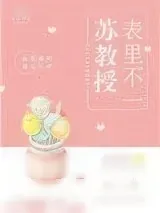 《苏教授表里不一》小说封面
