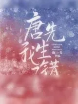 《唐先生，我错了[娱乐圈]》小说封面