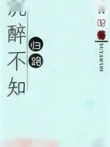 《沉醉不知归路》小说封面