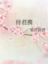 《待君携》小说封面