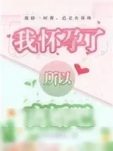 《我怀孕了，所以离婚吧》小说封面