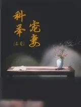 《科举宠妻日常》小说封面