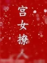 《和亲之宫女撩人》小说封面
