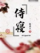 《侍寝》小说封面