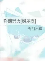 《你别玩火[娱乐圈]》小说封面