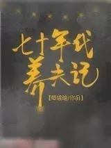 《七十年代养夫记》小说封面