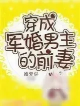 《穿成军婚男主的前妻》小说封面