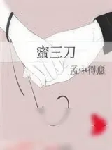 《蜜三刀》小说封面