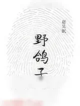 《野鸽子》小说封面