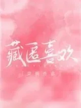 《藏匿喜欢》小说封面