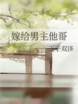 《嫁给男主他哥》小说封面