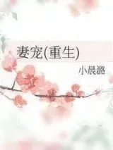 《妻宠(重生)》小说封面