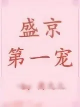 《盛京第一宠》小说封面