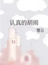 《认真的胡闹》小说封面