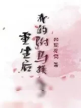 《重生后我的驸马换人了》小说封面