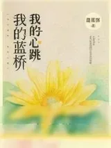《我的蓝桥》小说封面