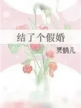 《结了个假婚》小说封面
