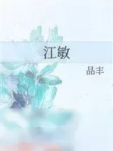 《江敏》小说封面