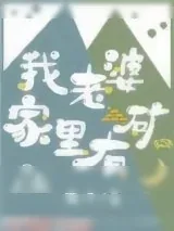 《我老婆家里有矿》小说封面