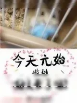 《今天的元始收到好人卡了吗？》小说封面