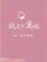《就是不离婚》小说封面