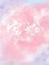 《宠粉》小说封面