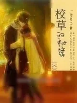 《校草的秘密》小说封面