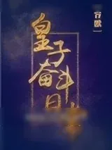 《皇子奋斗日常》小说封面