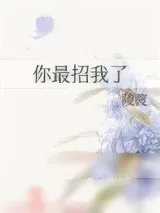 《你最招我了》小说封面