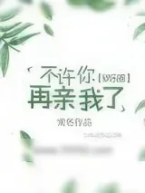 《不许你再亲我了[娱乐圈]》小说封面