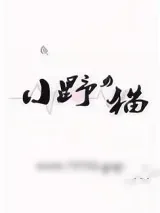 《小野猫》小说封面
