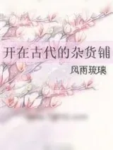 《开在古代的杂货铺》小说封面