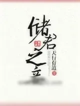 《储君之妾》小说封面