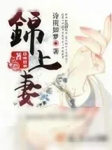 《锦上妻》小说封面