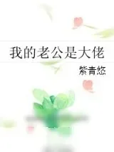 《我的老公是大佬》小说封面