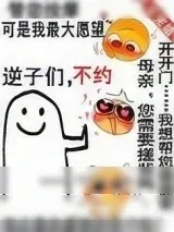 《普通人，但怪物之母》小说封面