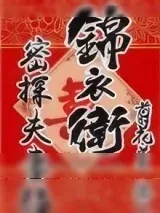 《锦衣卫密探夫妻档》小说封面