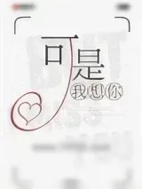 《可是，我想你》小说封面