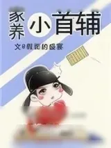 《家养小首辅》小说封面