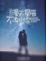 《漫天星辰不如你[重生]》小说封面