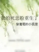 《我的死忠粉重生了》小说封面
