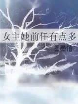 《女主她前任有点多》小说封面