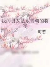 《我的男友是东晋朝的将军》小说封面