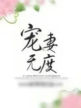 《宠妻无度》小说封面