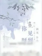 《一见到你呀》小说封面