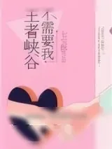 《王者峡谷不需要我》小说封面