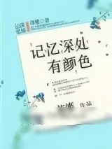 《记忆深处有颜色》小说封面
