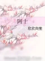 《阿十》小说封面