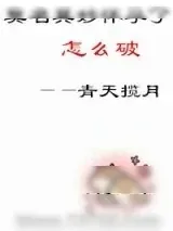 《莫名其妙怀孕了怎么破》小说封面
